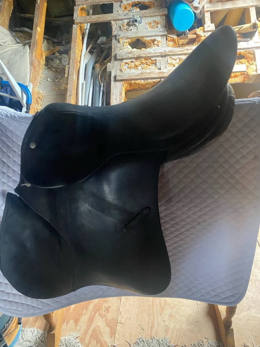 Saddle - Image 4