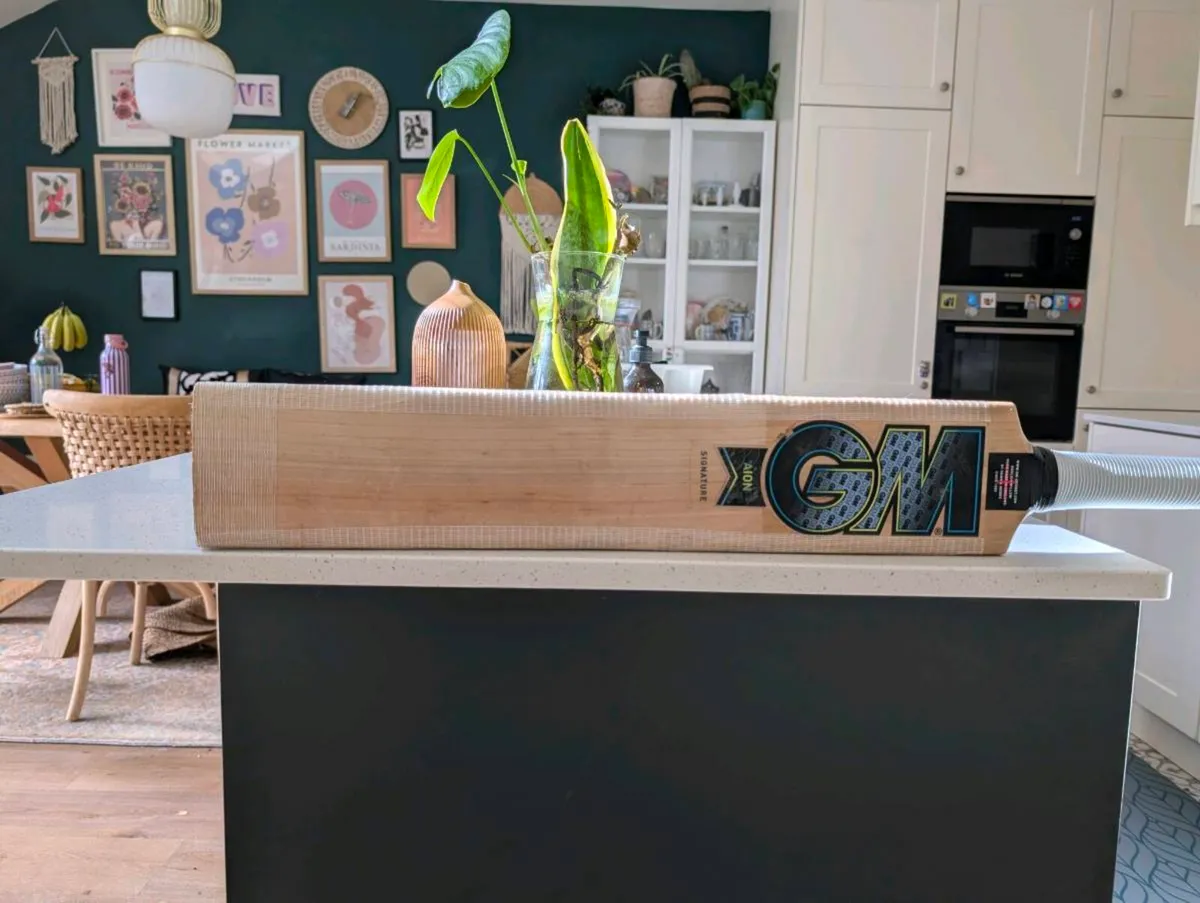 GM AION signature cricket bat - Image 3