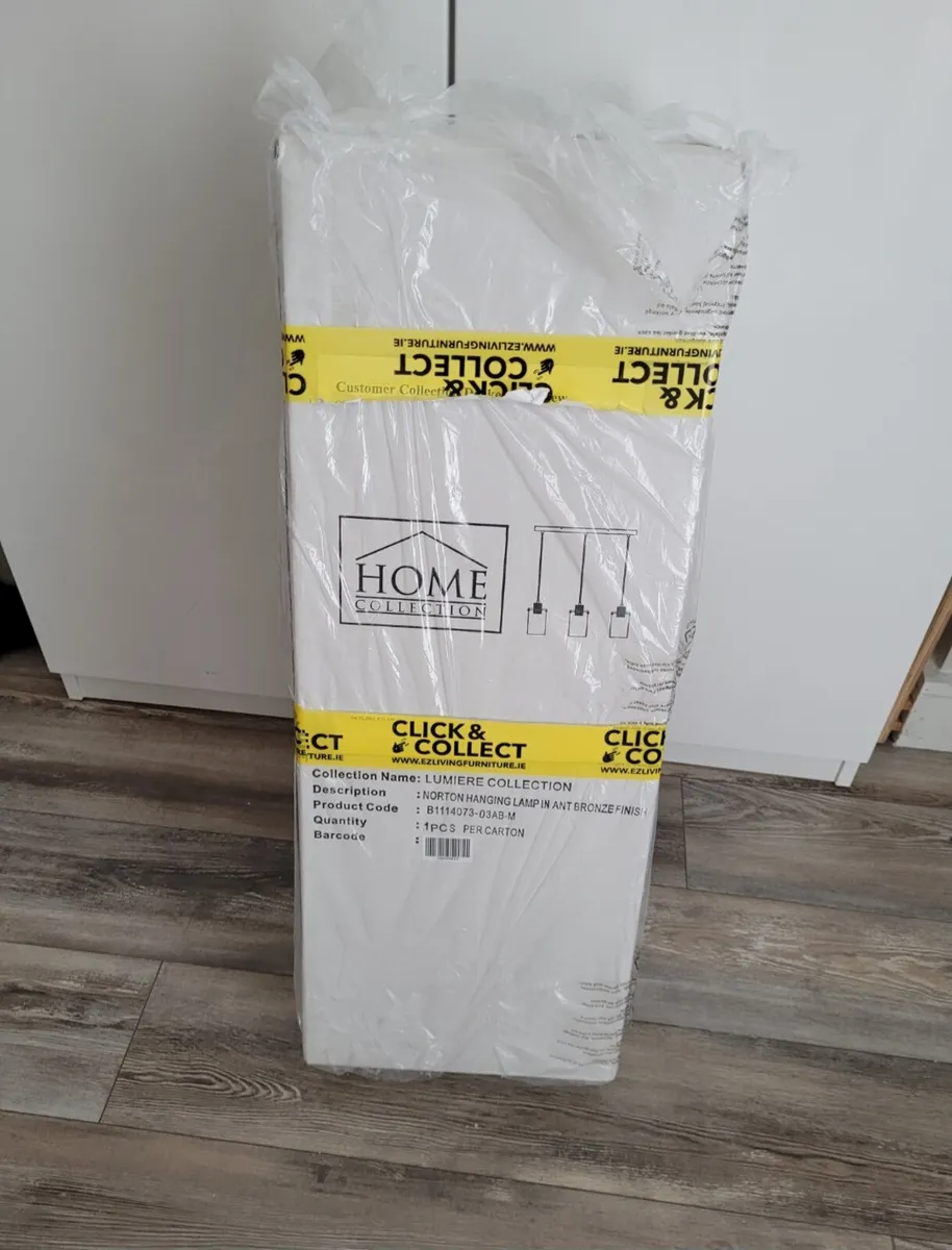 Ceiling Light Fixture (Ez Living) - Image 2