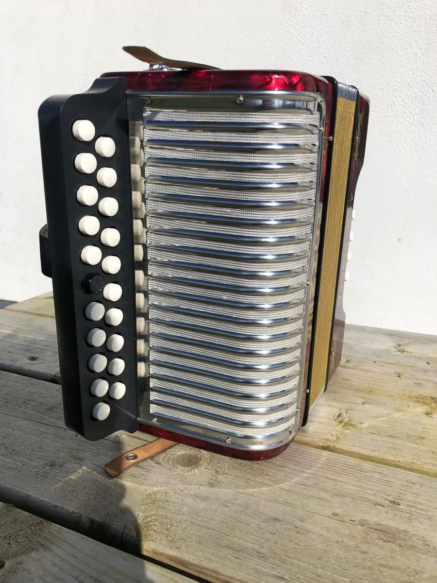 Accordion - Image 4