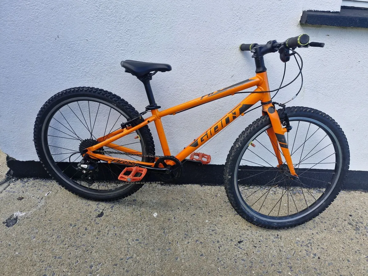 Childs Giant ARX 24" Bike - Image 2