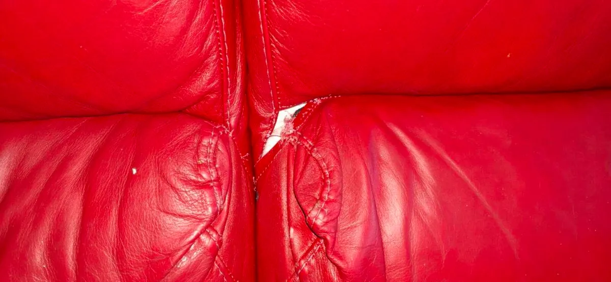 Red leather 2 seater couch - Image 2