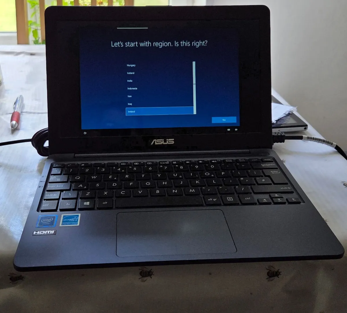 Asus Vivobook E203MA