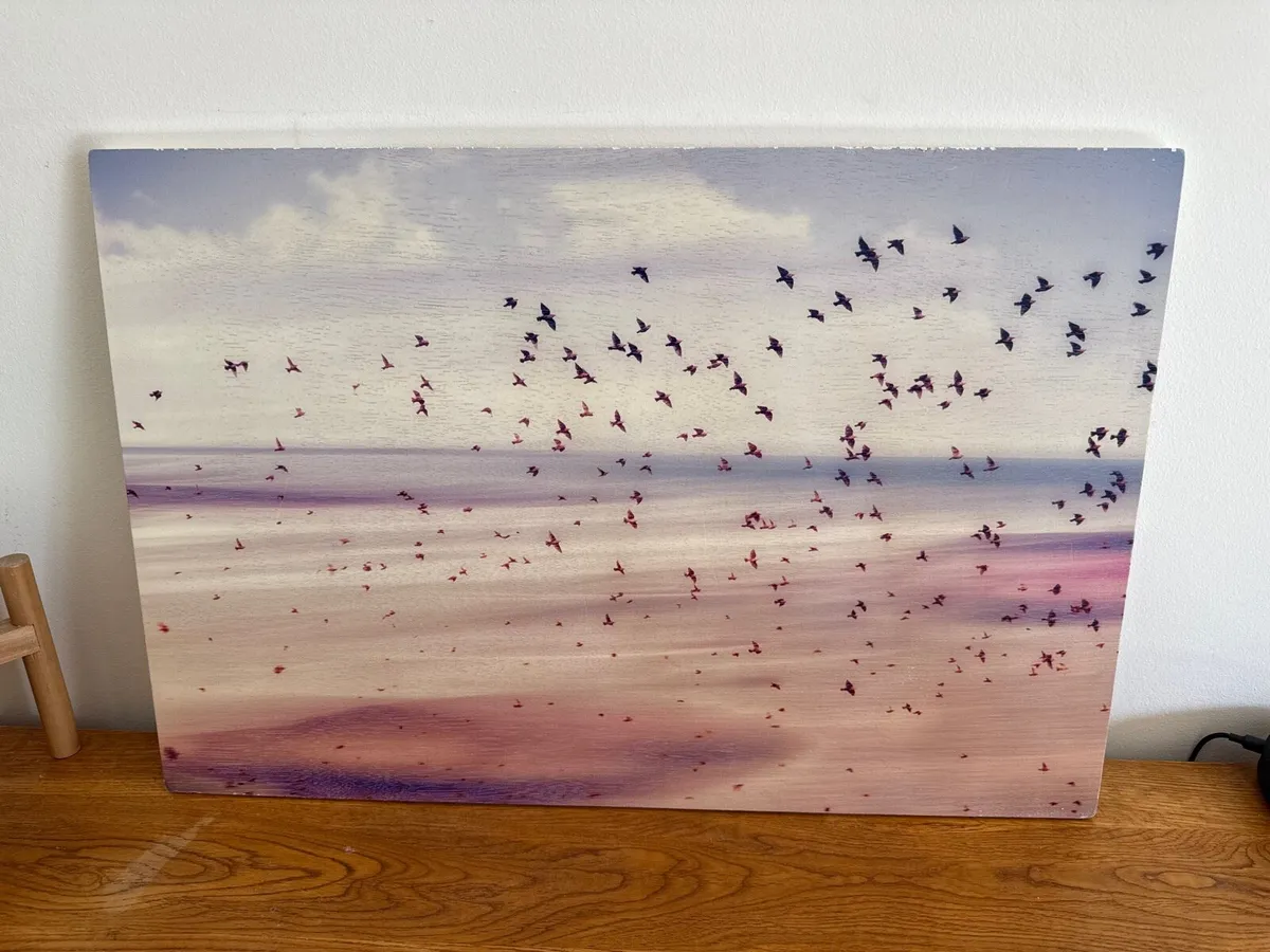 Rustic painting of sky and birds (on wood) - Image 1