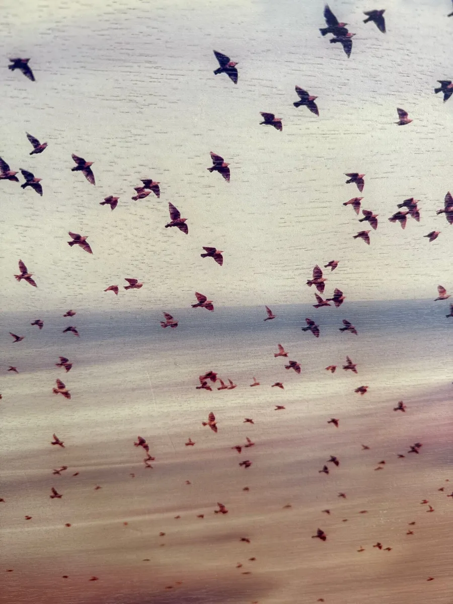 Rustic painting of sky and birds (on wood) - Image 3