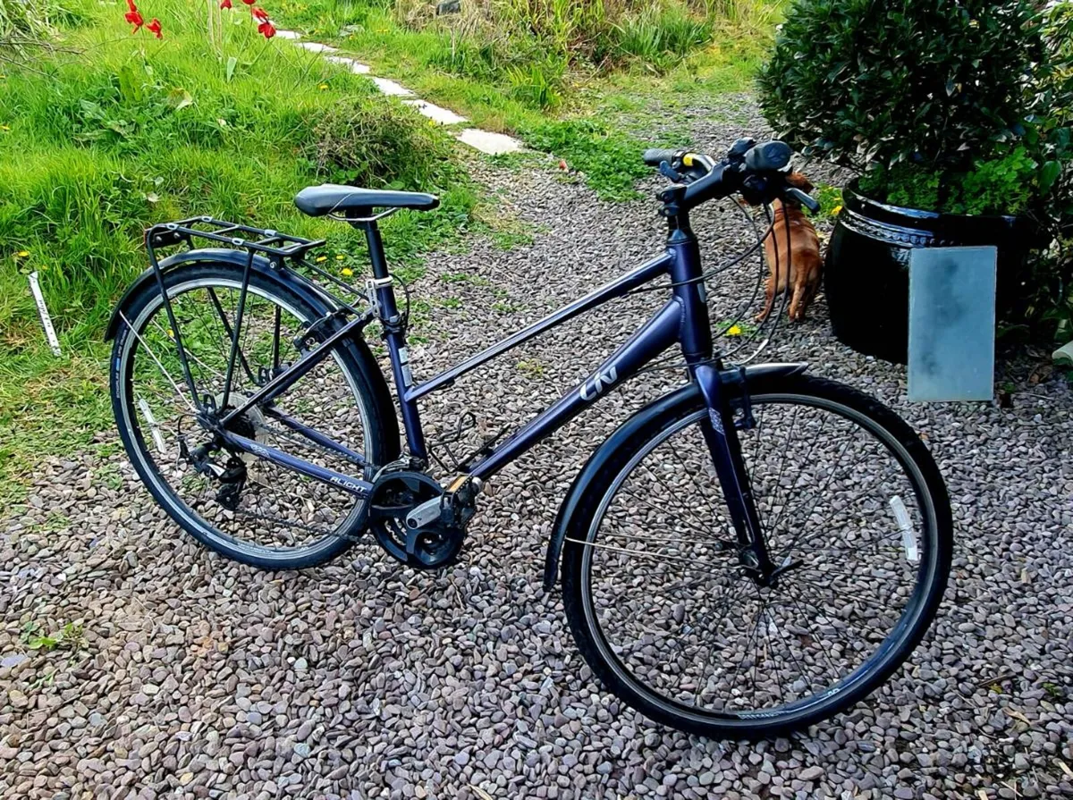 Bicycle - Image 1