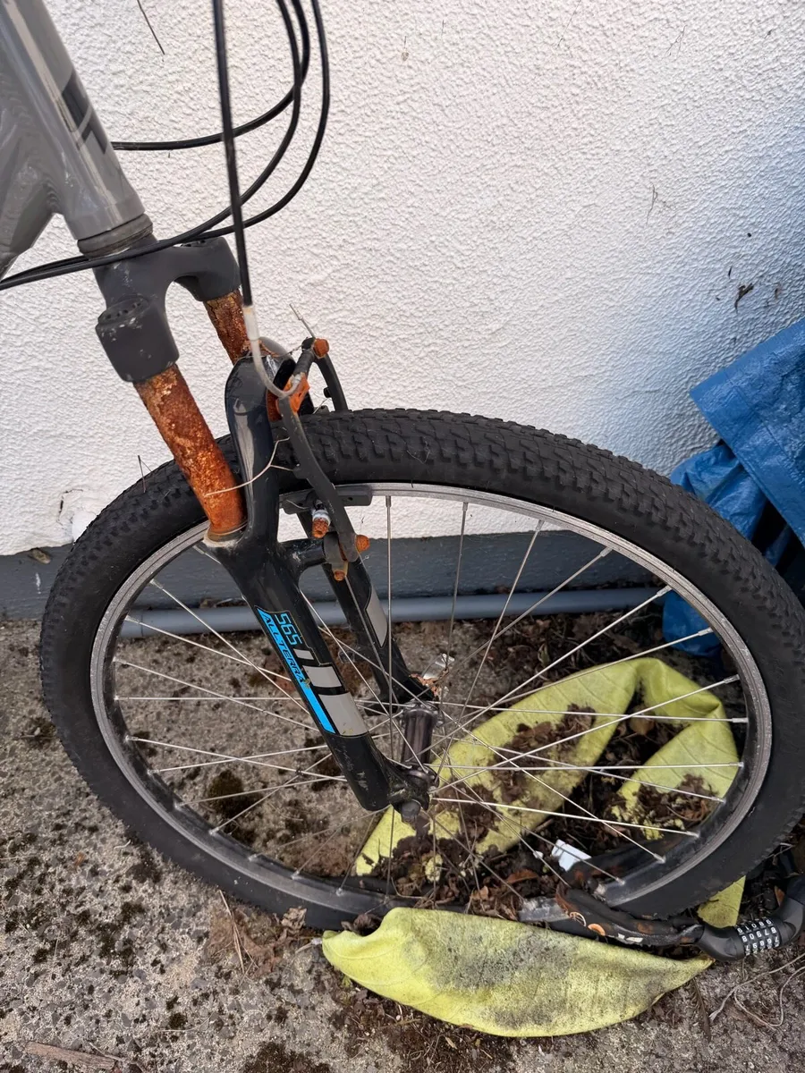 Bicycle €50 - Image 4