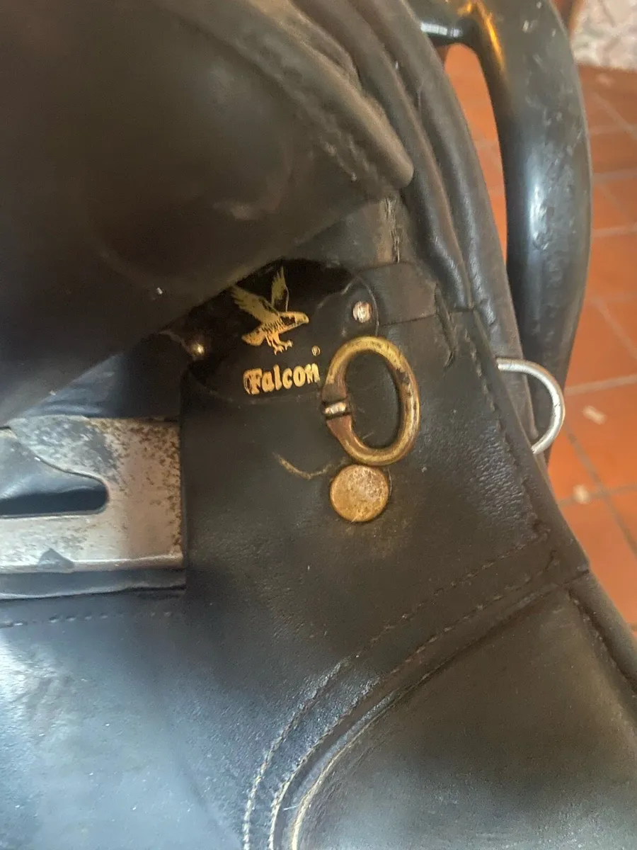 Saddle - Image 2