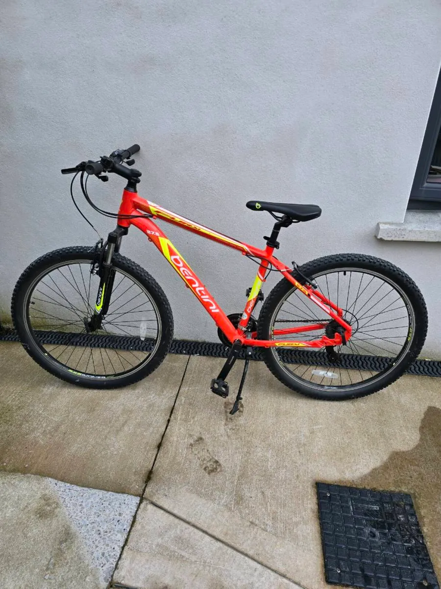 Mountain bike - Image 1