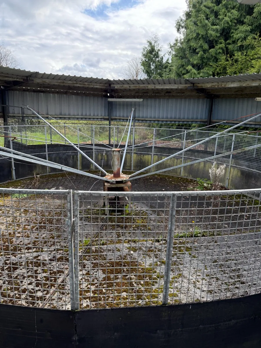 Horse exerciser - Image 4