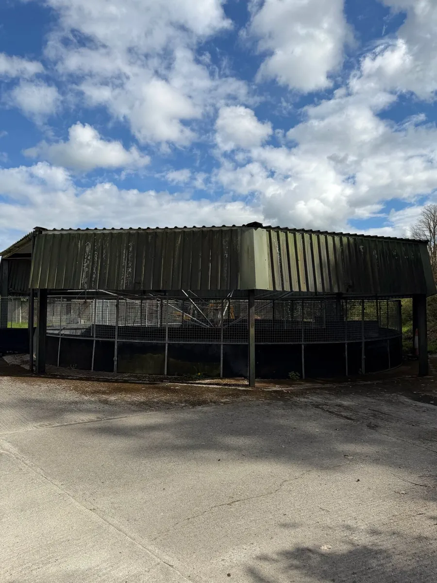 Horse exerciser - Image 1