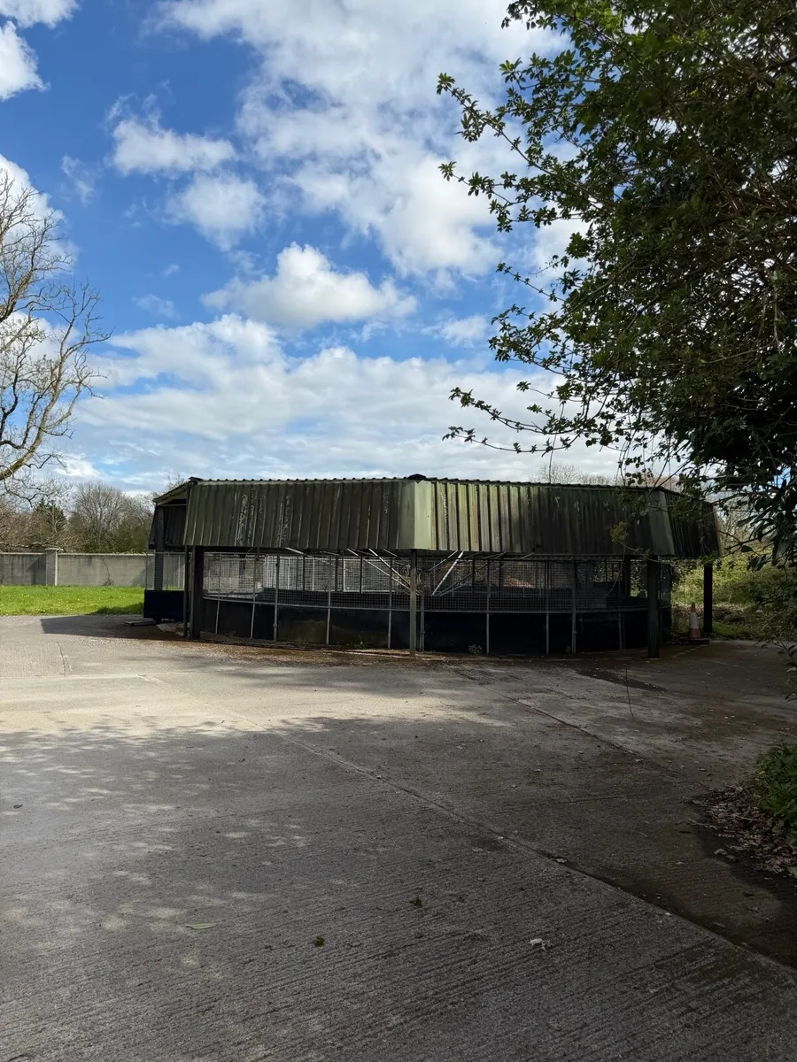 Horse exerciser - Image 3