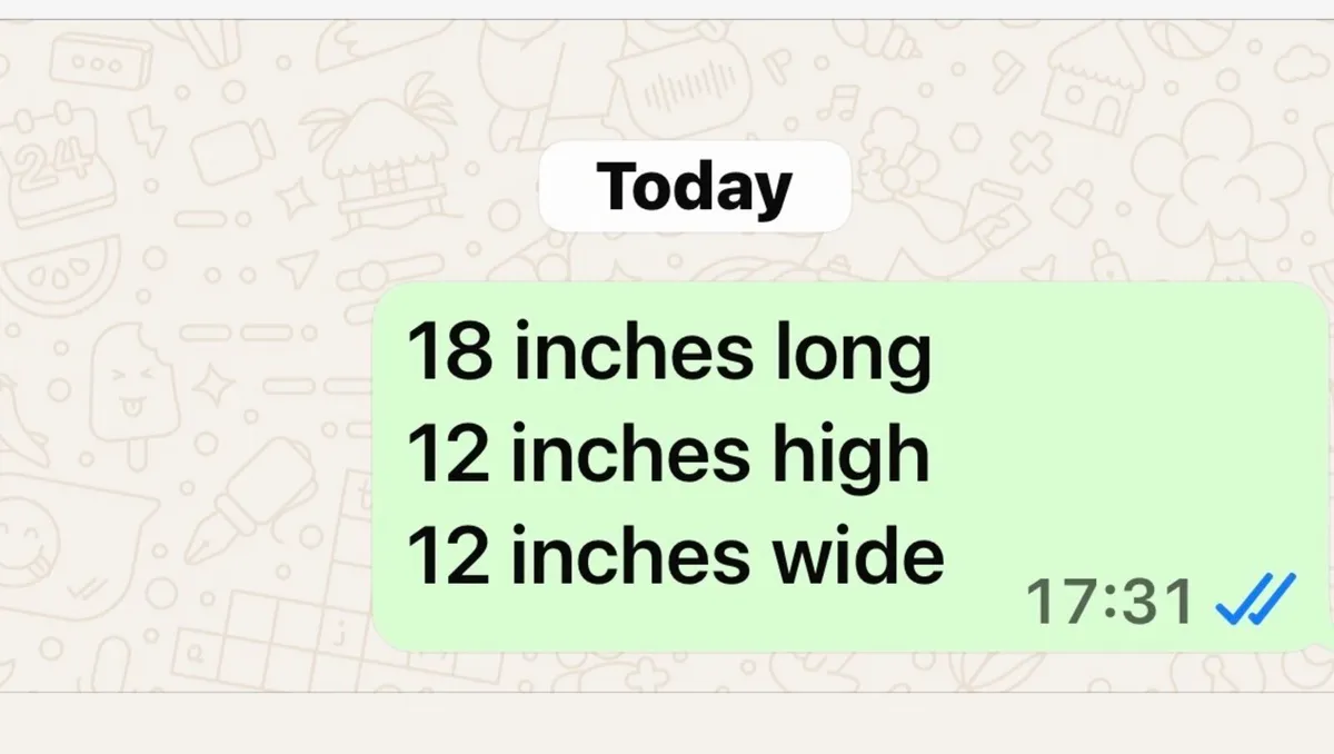 iMac Carry Sport Metal Pet box - Image 4