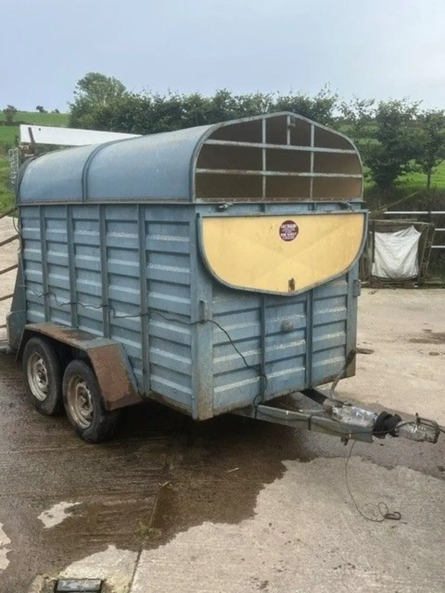 8 x 5 Cow box - Image 1