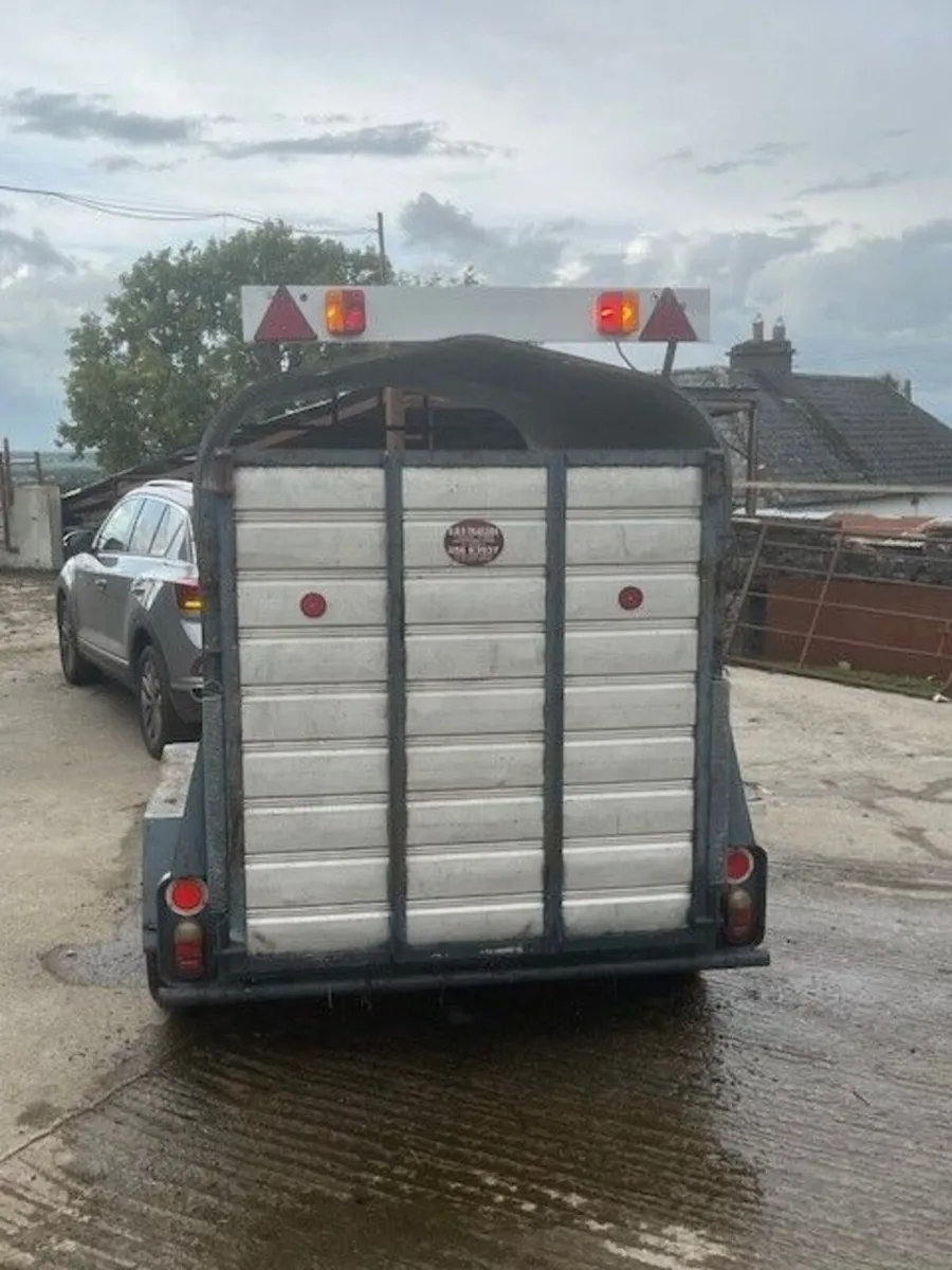 8 x 5 Cow box - Image 2