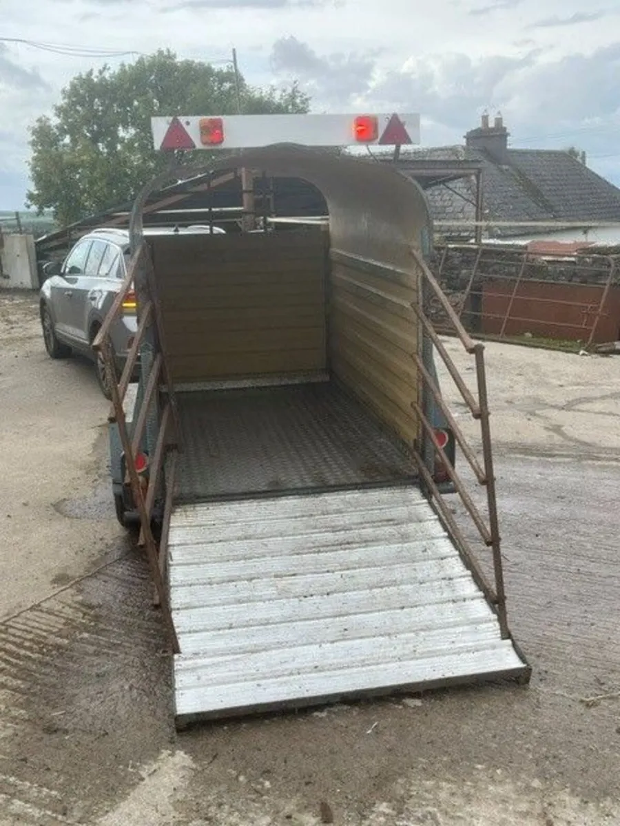 8 x 5 Cow box - Image 3