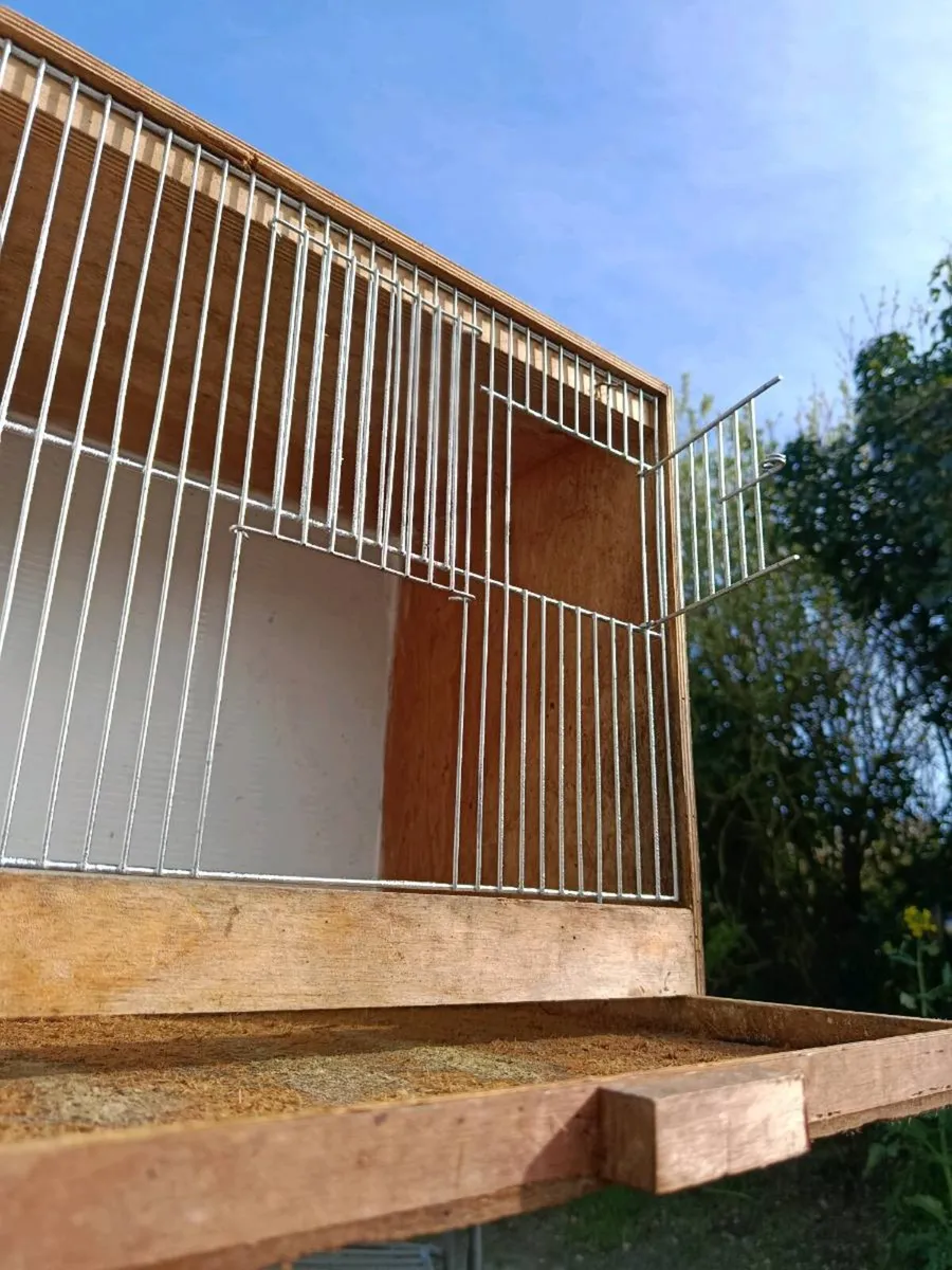 Canary/finch double breeding cage - Image 2