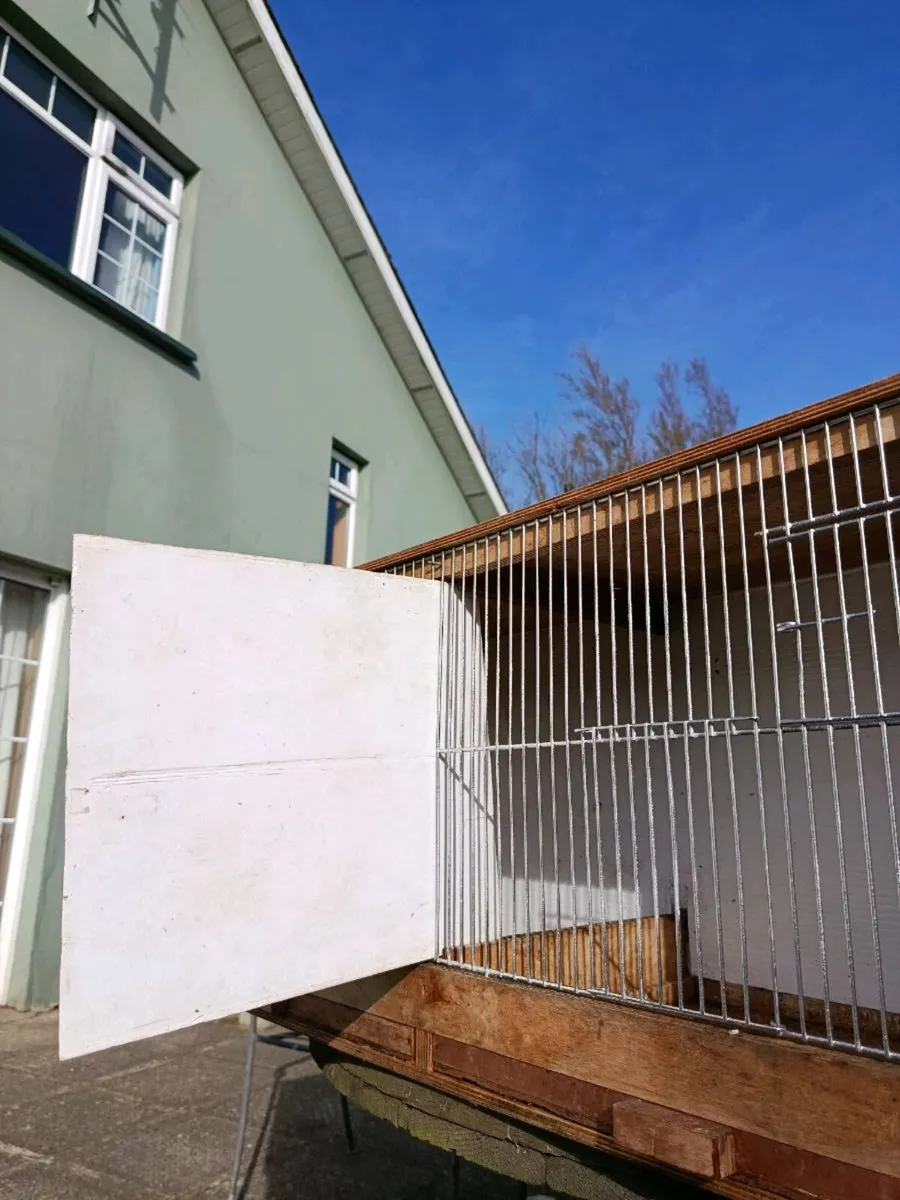Canary/finch double breeding cage - Image 4