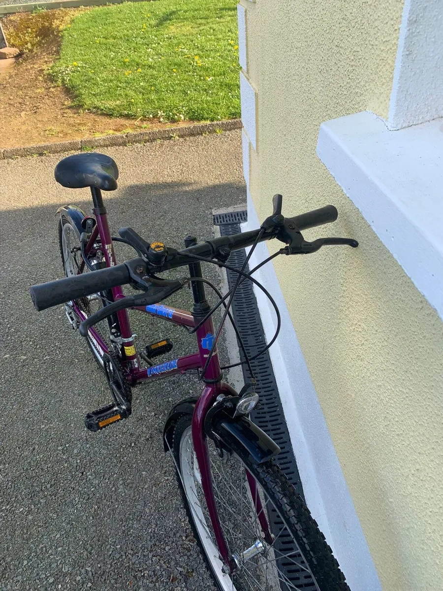 Ladies Bike - Image 2