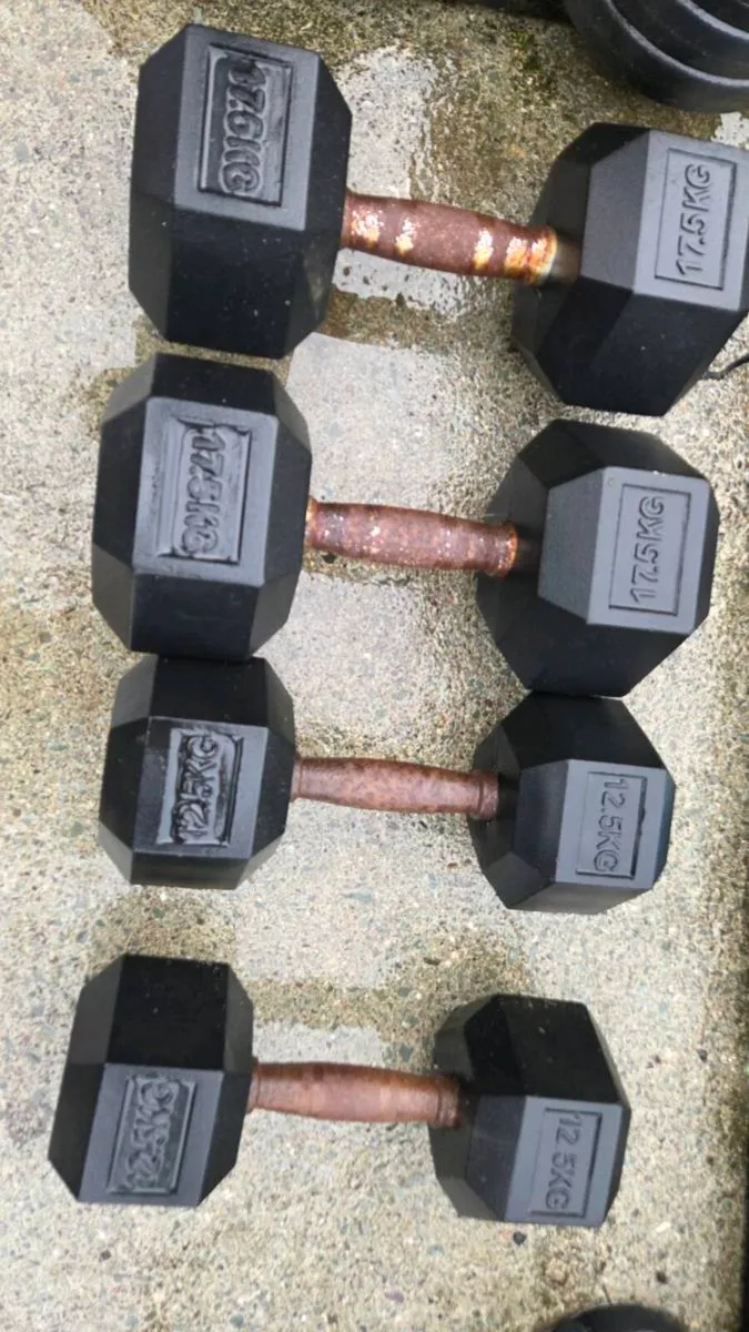 Gym Equipment- Weights - Image 2