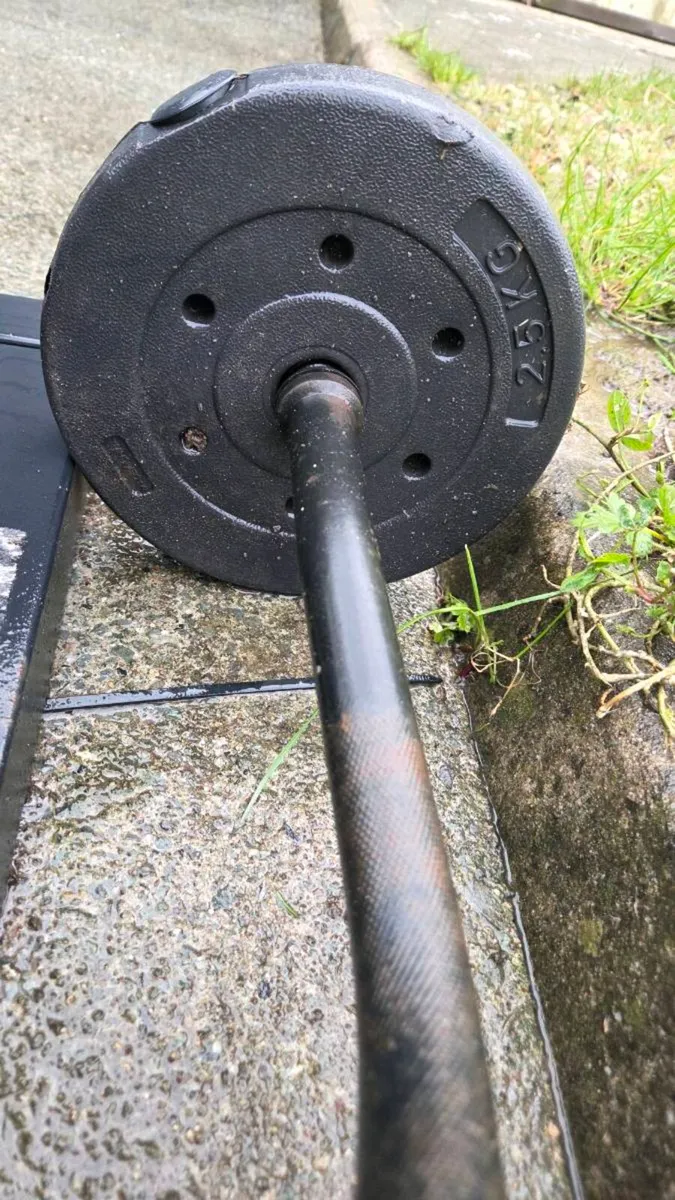 Gym Equipment- Weights - Image 3