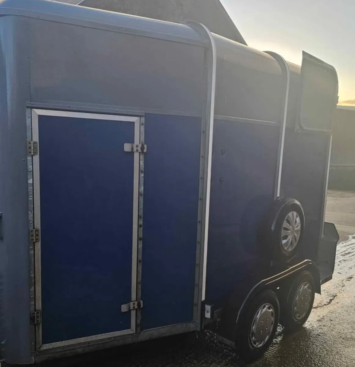 505 Ifor Williams horse trailer - Image 1