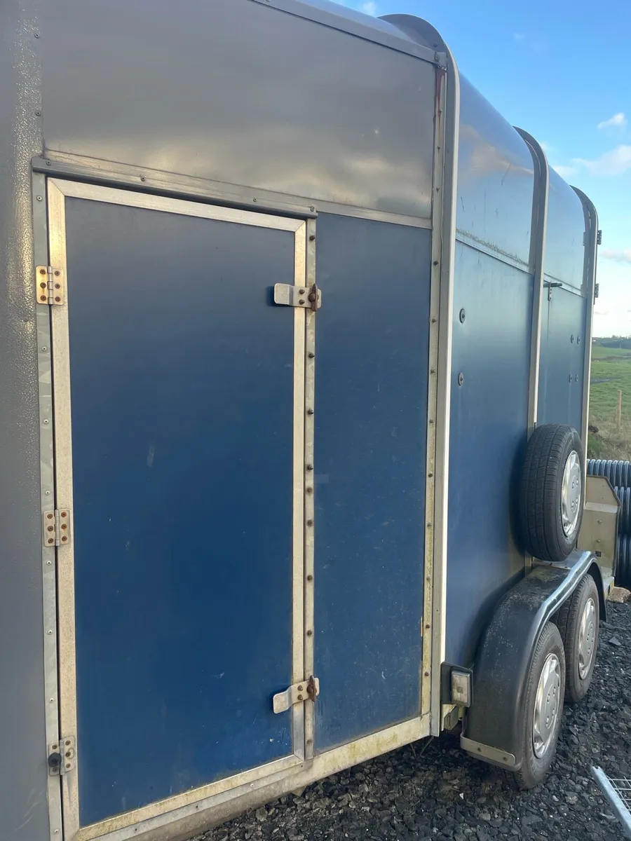 505 Ifor Williams horse trailer - Image 4