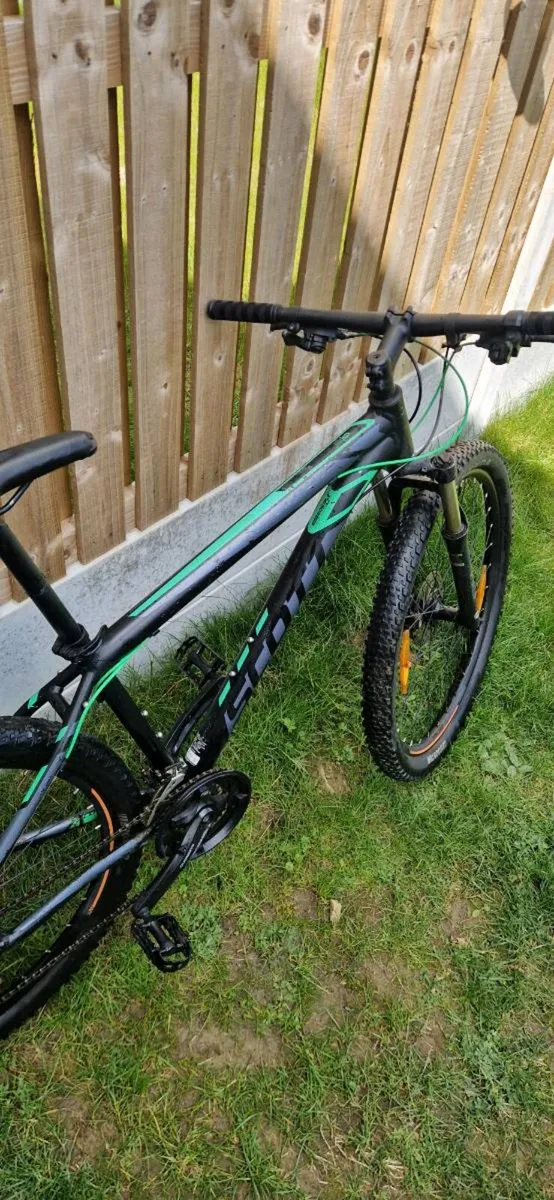 Scott aspect ( serviced )( delivery ) - Image 4