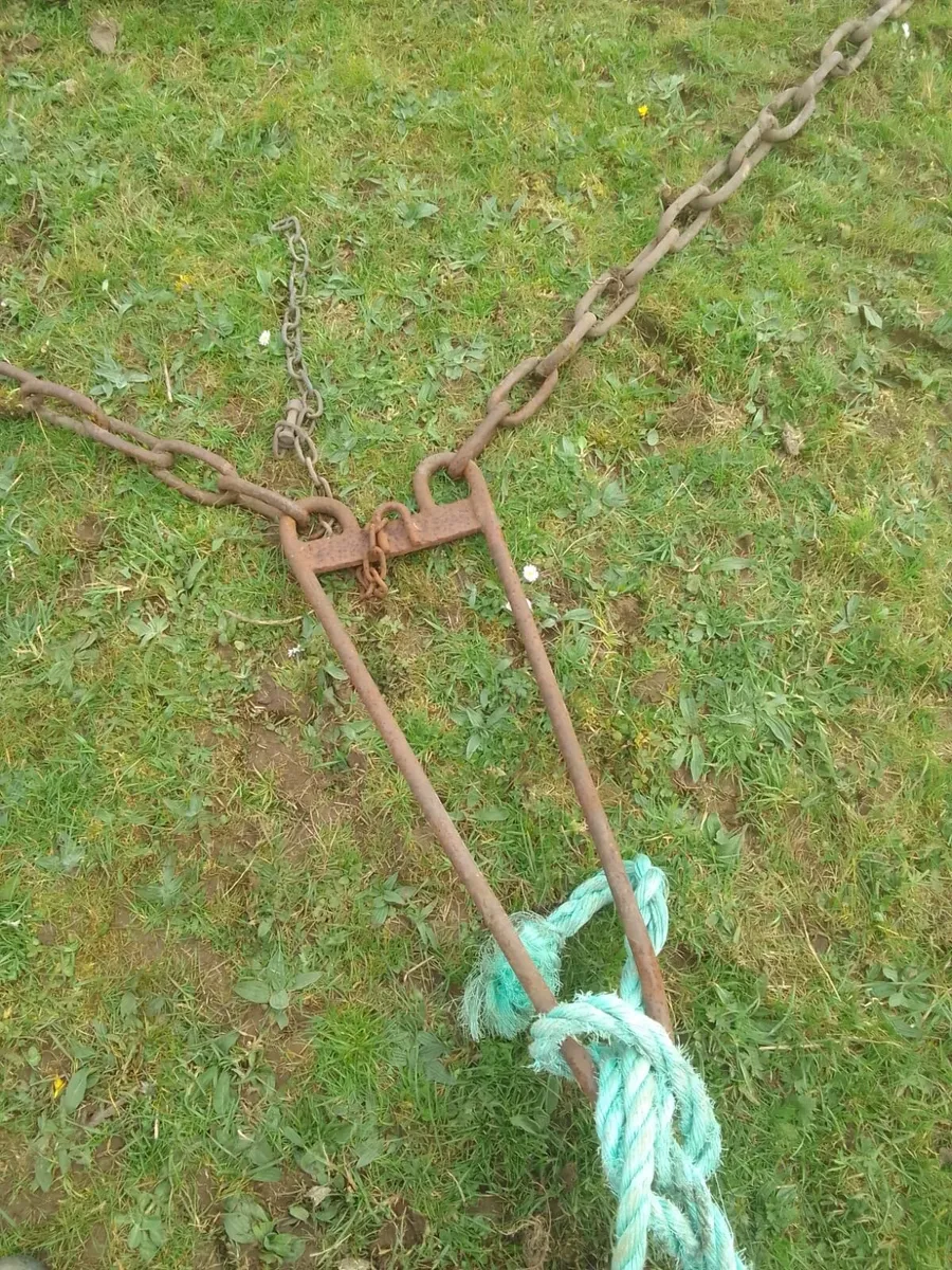 Chain Harrow - Image 3