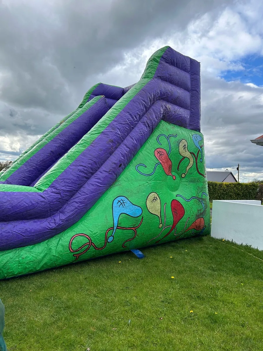 Bouncy castle - Image 4