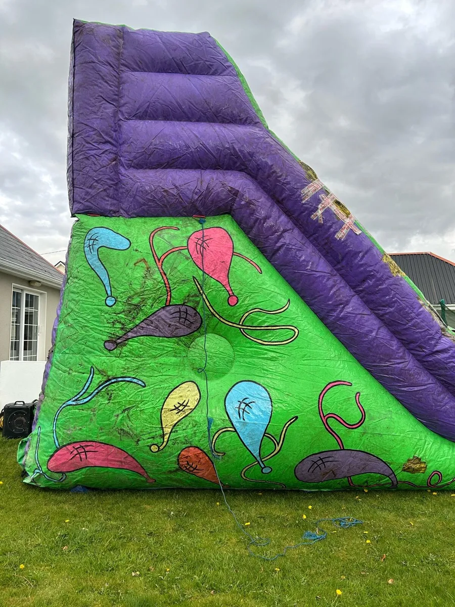 Bouncy castle - Image 2