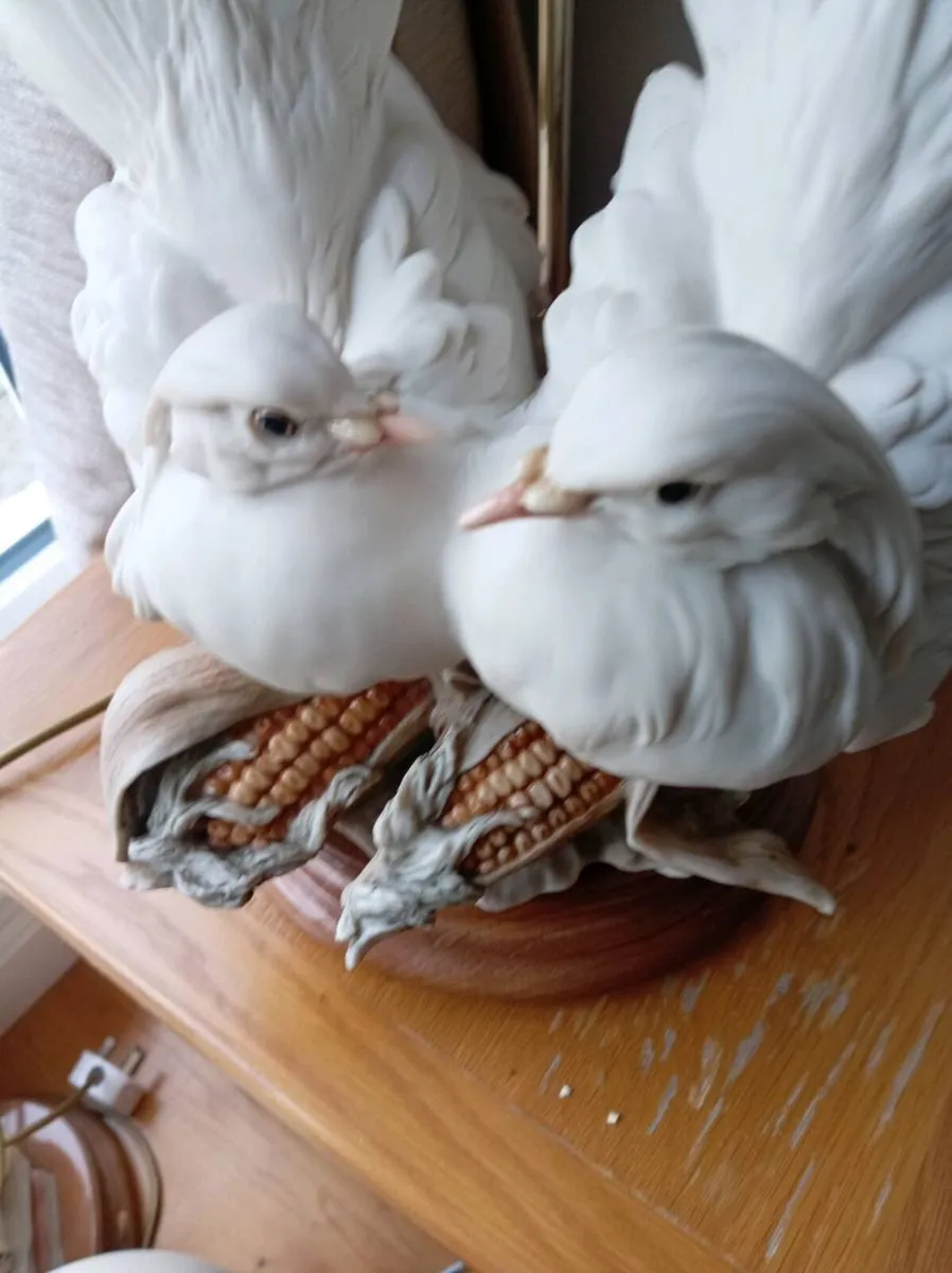 Table lamps - Image 2