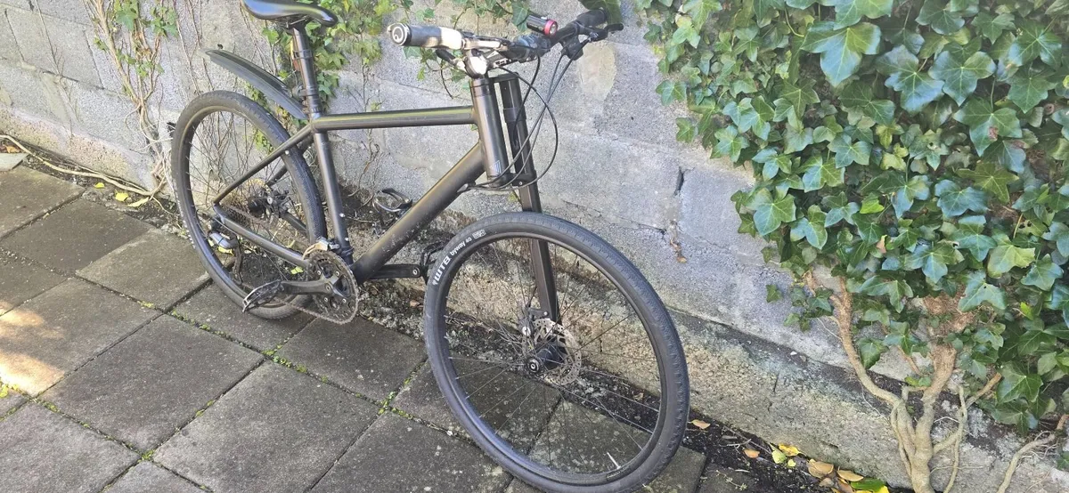 Cannondale Bad Boy, lefty - Image 1