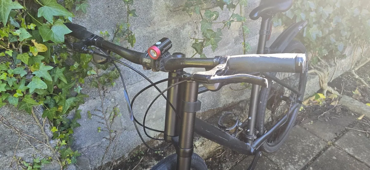 Cannondale Bad Boy, lefty - Image 2