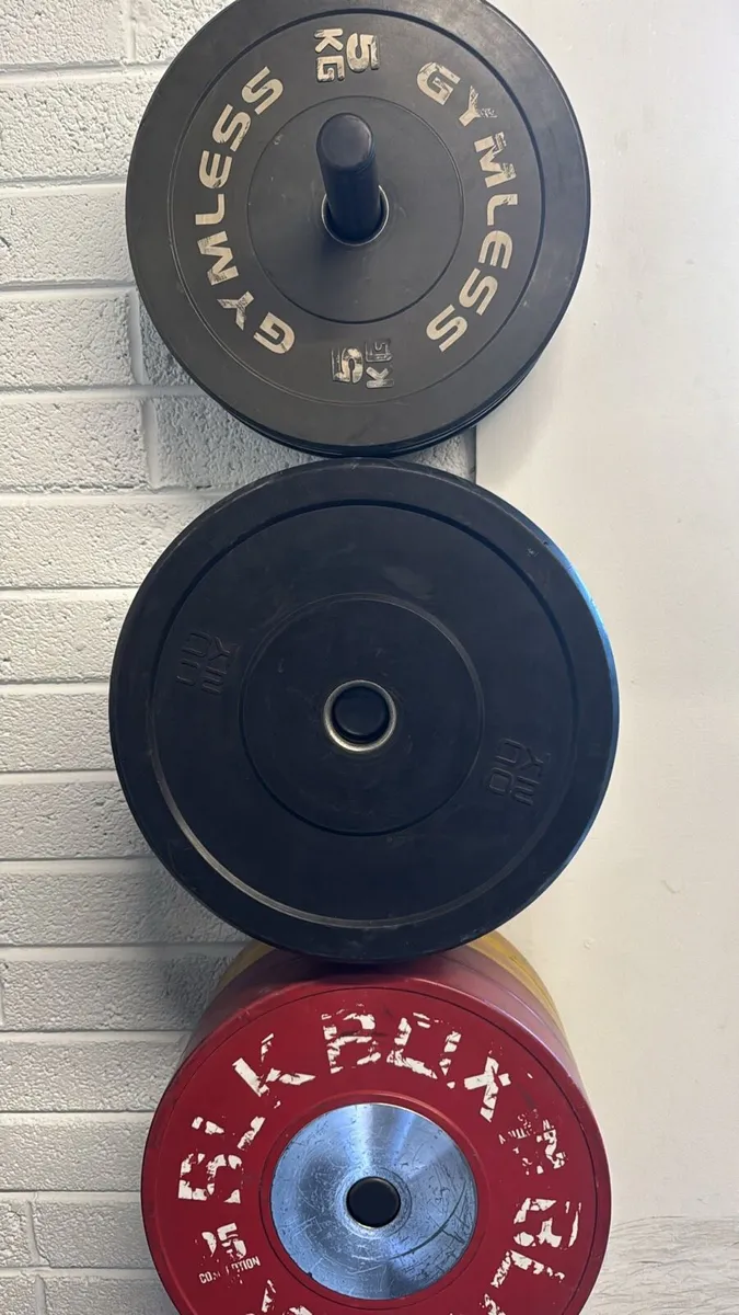 Gym Weight Plates - Image 1