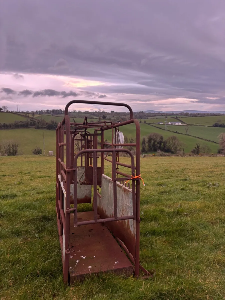 Mobile cattle crush - Image 2