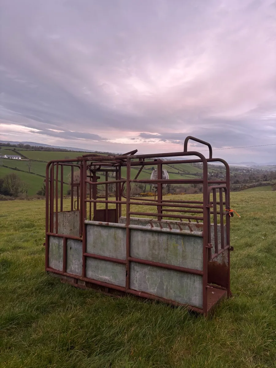 Mobile cattle crush - Image 1