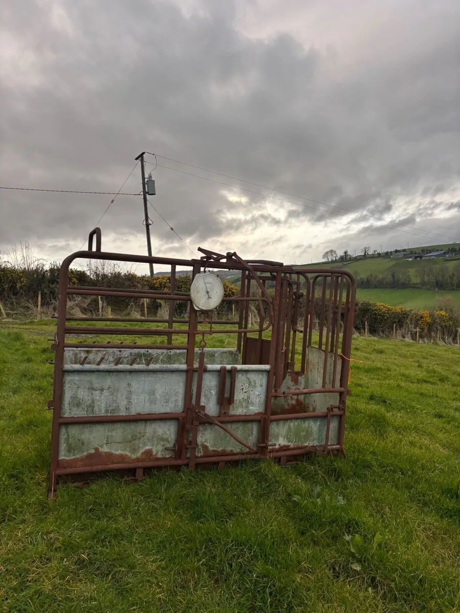 Mobile cattle crush - Image 4