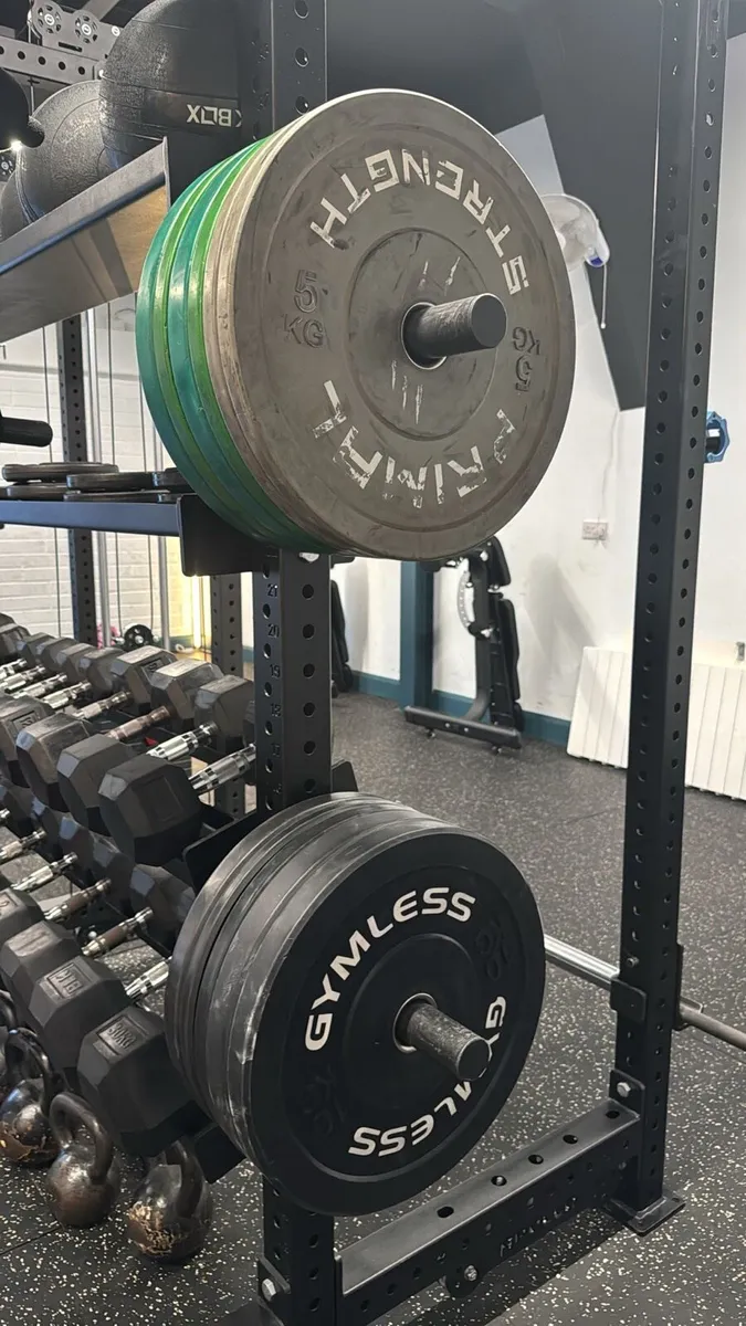 Gym Weight Plates - Image 4