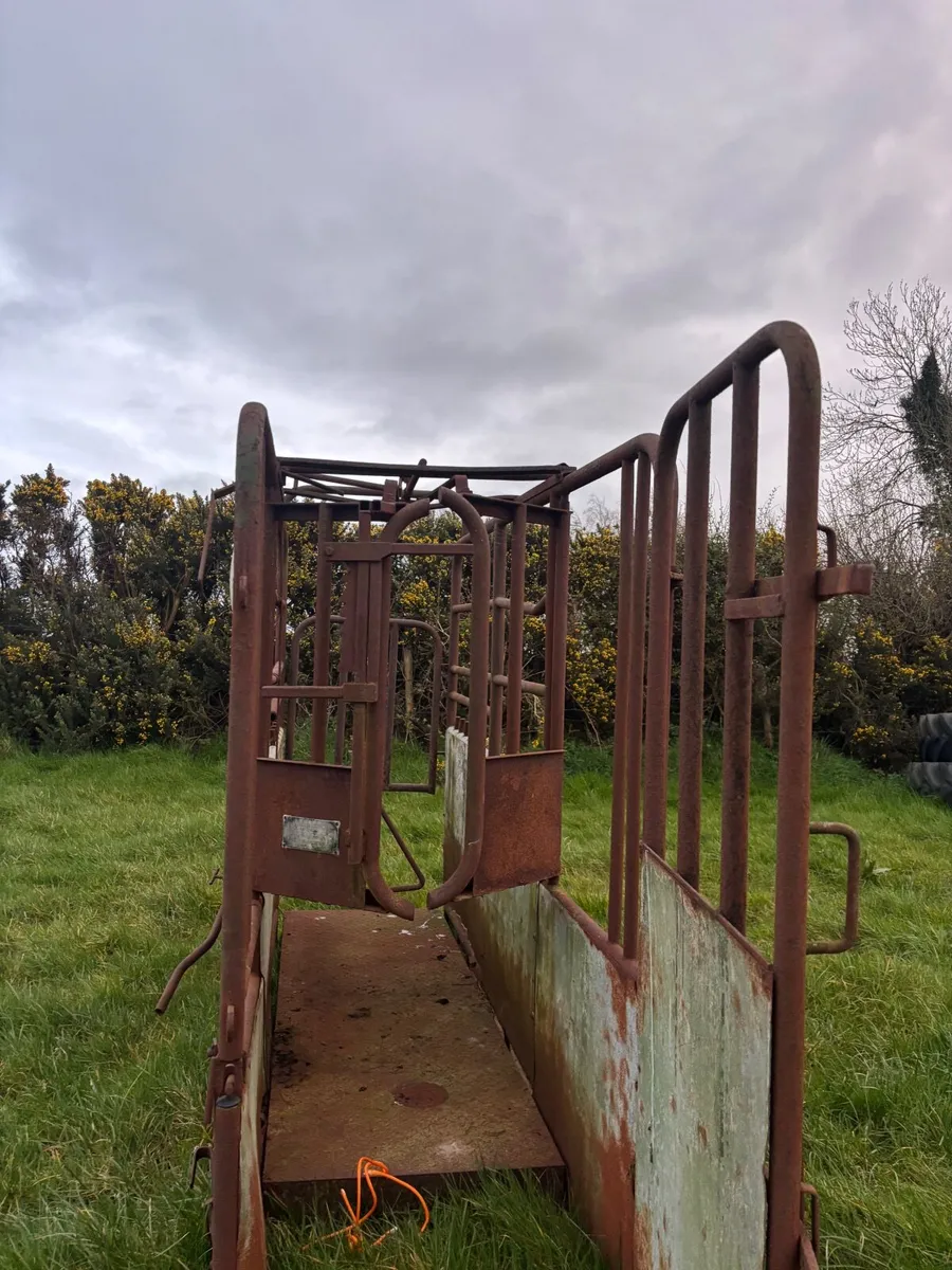 Mobile cattle crush - Image 3