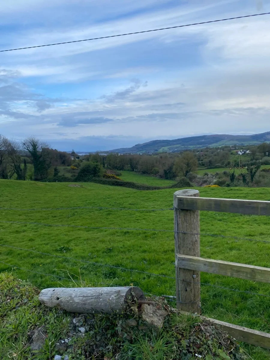 Grass Livery - Image 1