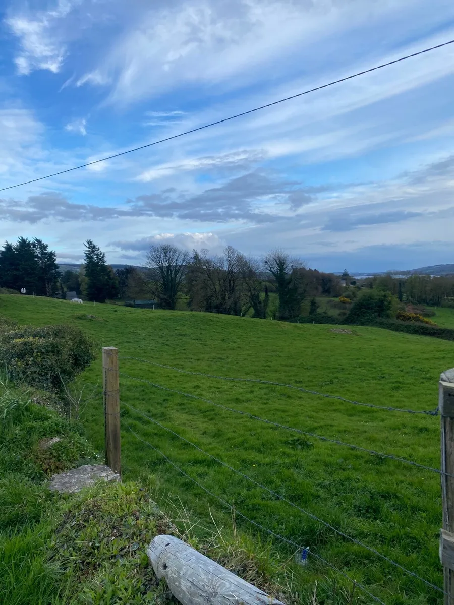 Grass Livery - Image 2