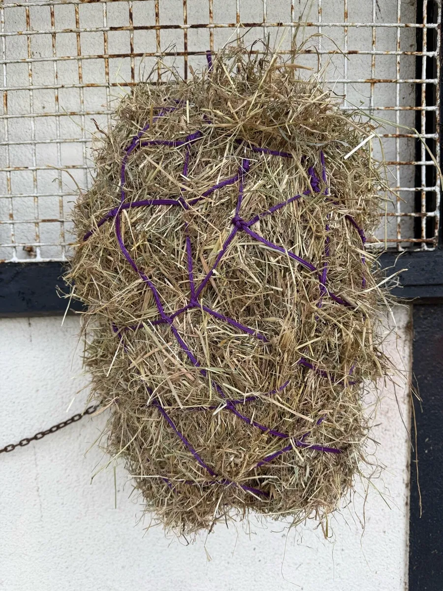 Haynets €5 or 6 for €20 that’s €3.33 each - Image 1