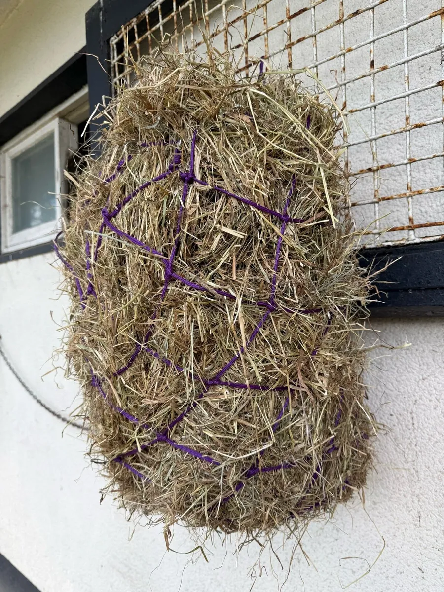 Haynets €5 or 6 for €20 that’s €3.33 each - Image 2