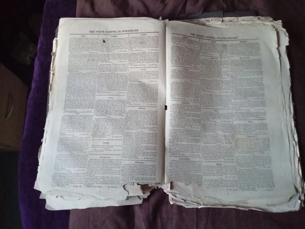 Original Antique Irish Hue and Cry Gazette - Image 3