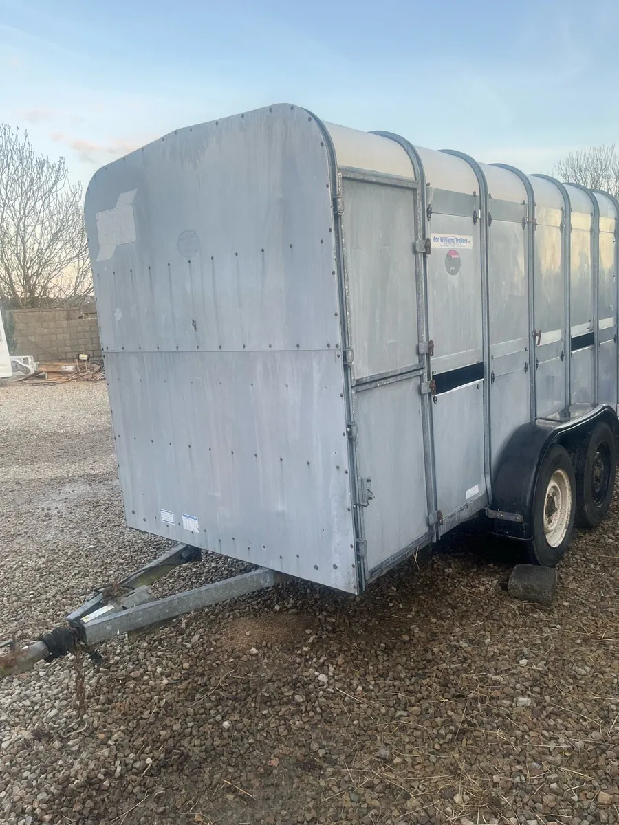 Ifor William cattle trailer - Image 1