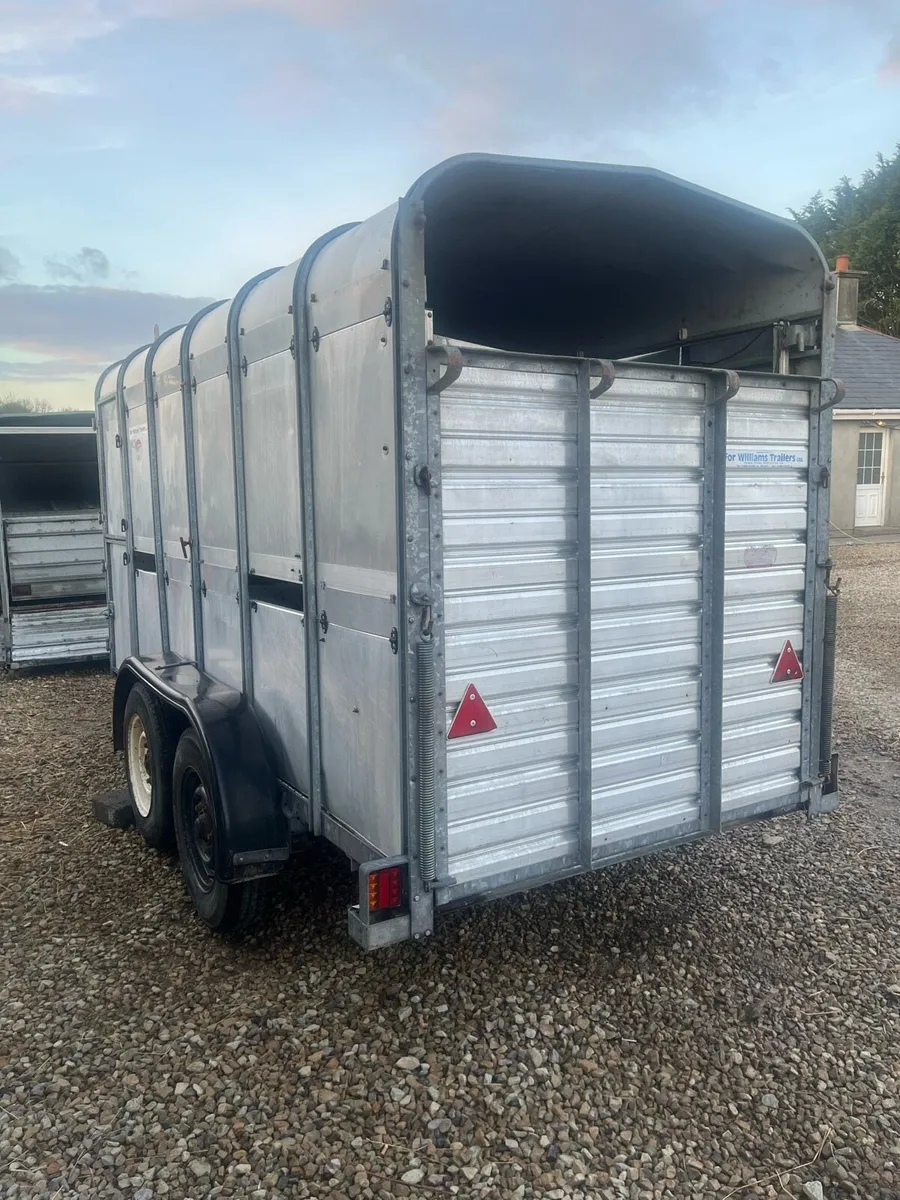 Ifor William cattle trailer - Image 3
