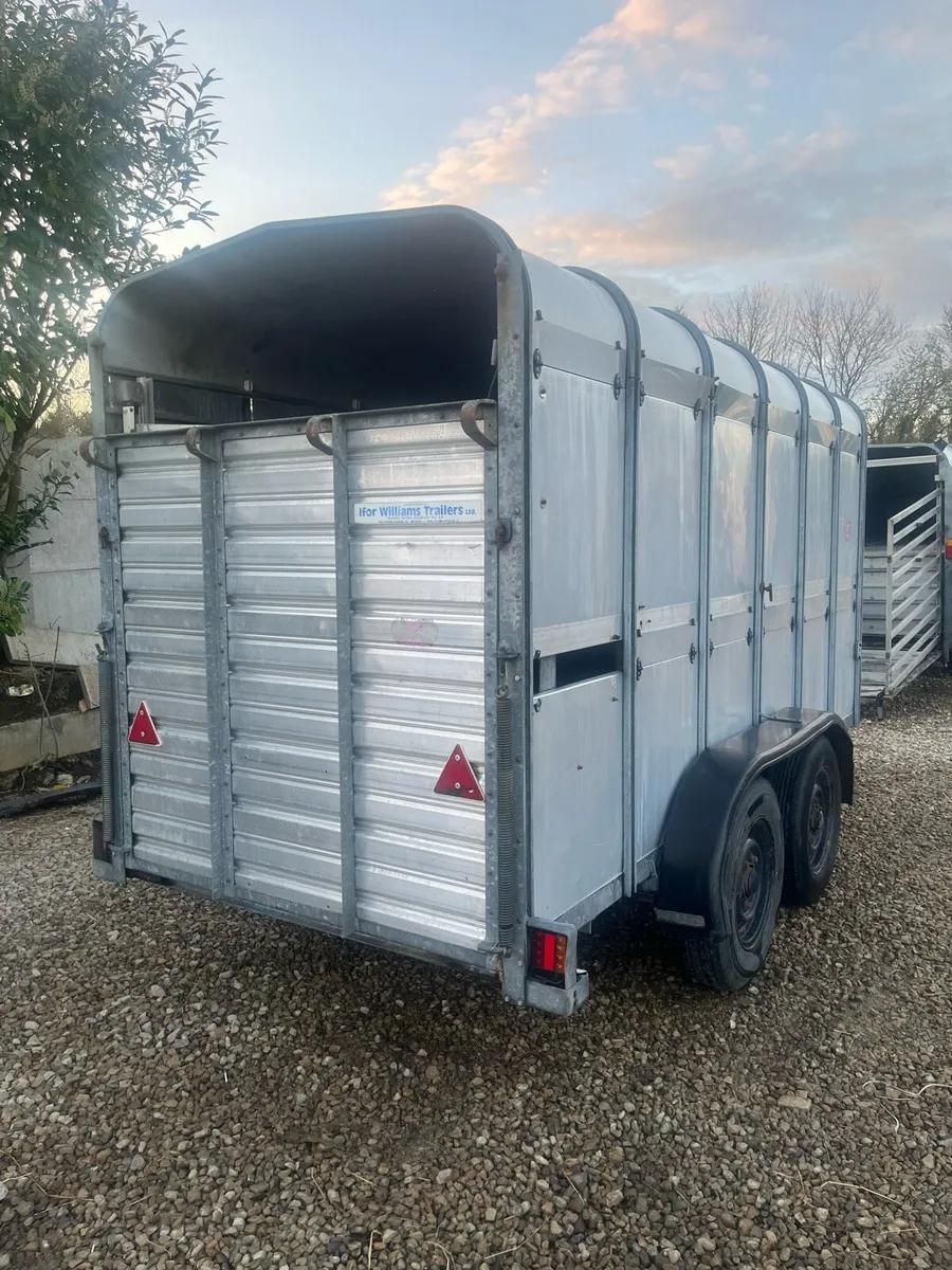 Ifor William cattle trailer - Image 4
