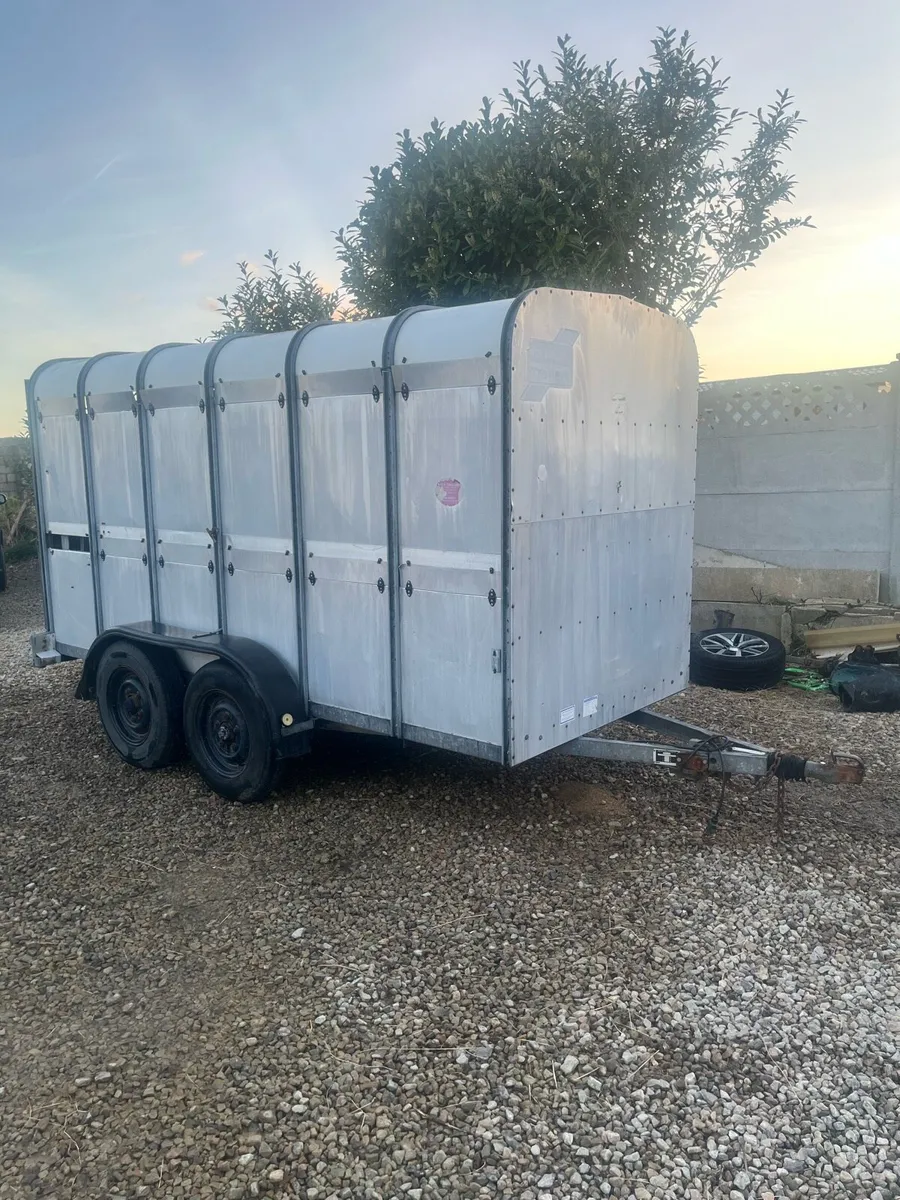Ifor William cattle trailer - Image 2
