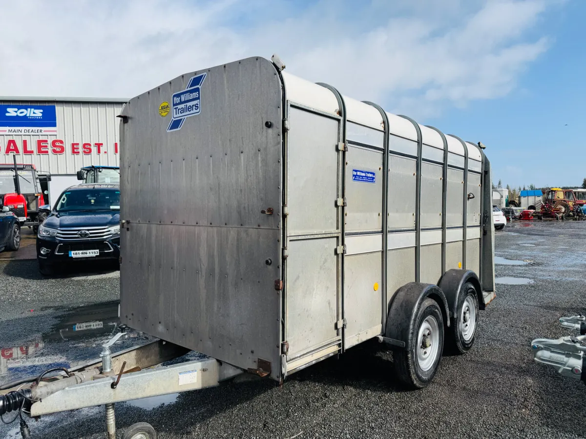 Ifor Williams 12x6 sheep Trailer - Image 3